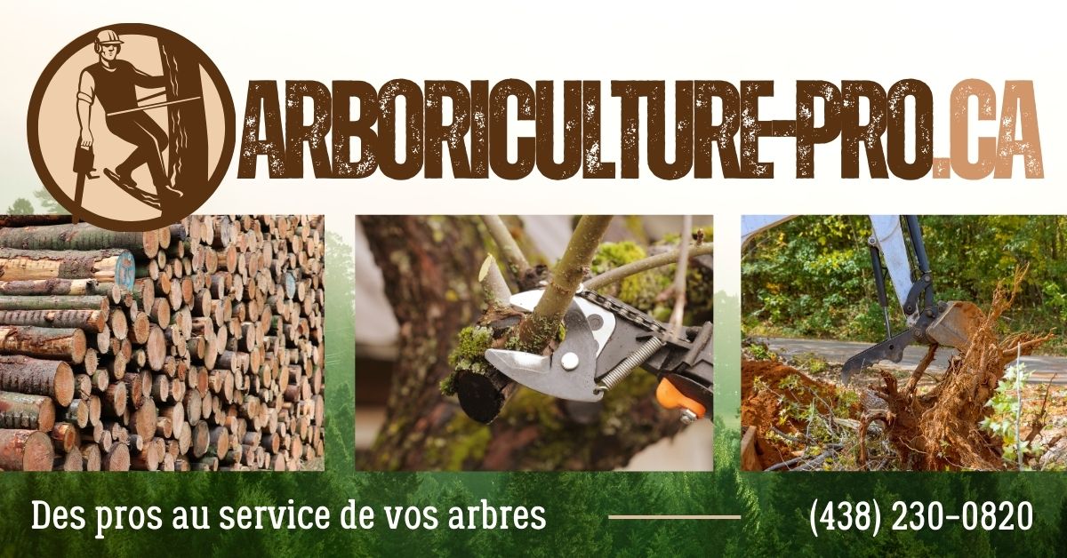 Entreprise Spécialisée en Arboriculture à Bécancour