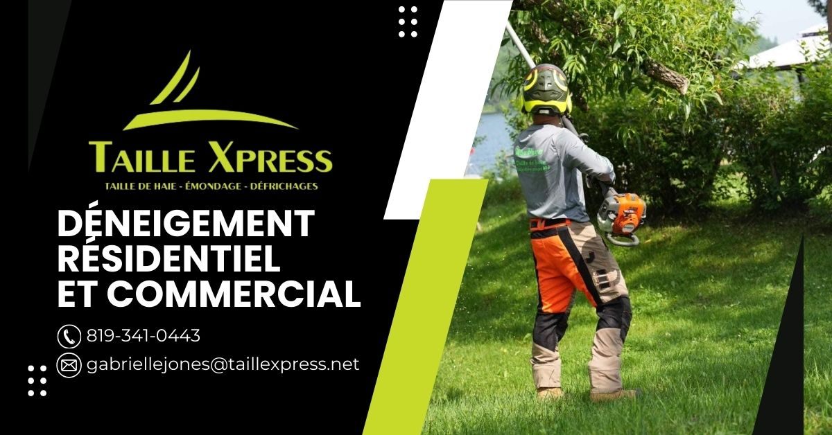 Entreprise Spécialisée en Arboriculture à Mont-Tremblant