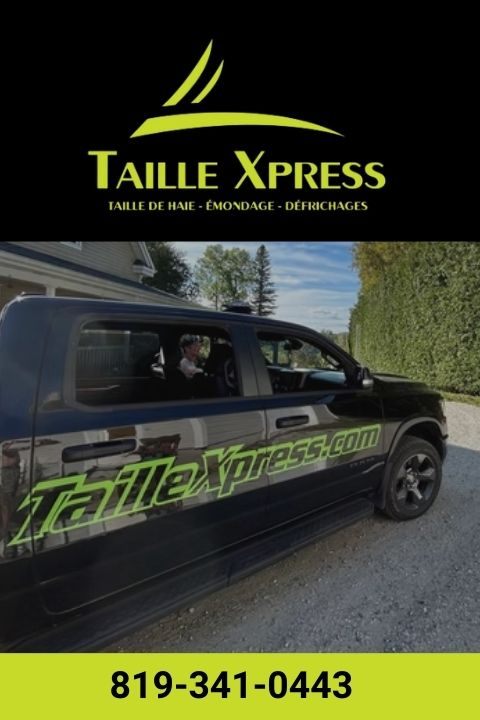 entreprise spécialisée en arboriculture a mont tremblant droite
