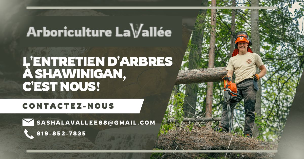 Entreprise Spécialisée en Arboriculture à Shawinigan