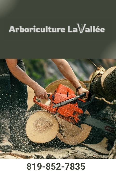 entreprise spécialisée en arboriculture a shawinigan droite