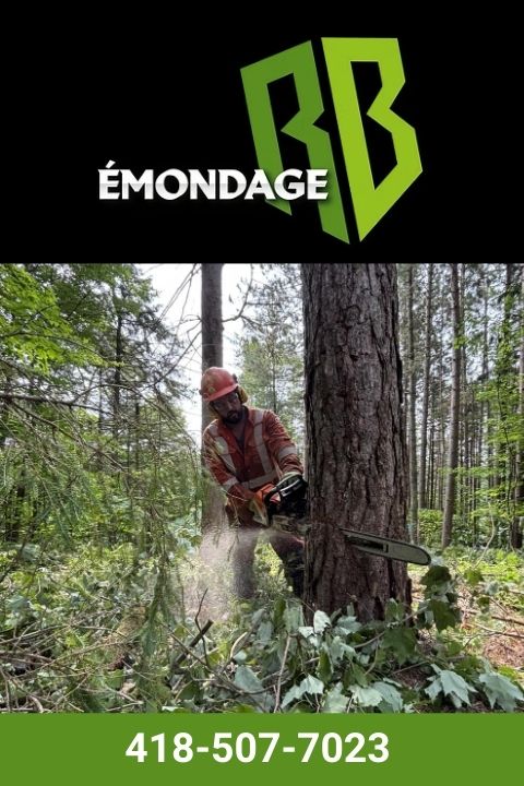 entreprise spécialisée en arboriculture a trois rivieres droite