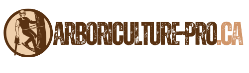 Entreprise Spécialisée en Arboriculture au Québec